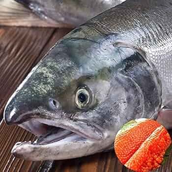 北海道産　秋鮭メス Amazon.co.jp: 北海道産 生秋鮭 1尾 3.0kg (メス/筋子付き/冷蔵